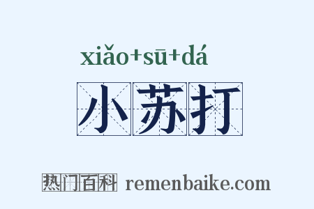 小苏打是什么意思的图片